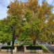 Nairne's Mick Murphy Park